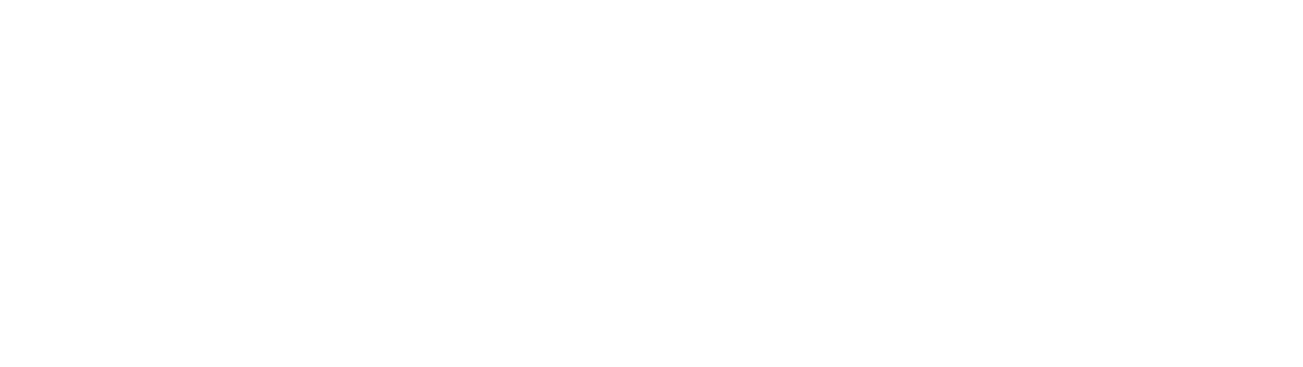 Terra Premium Market